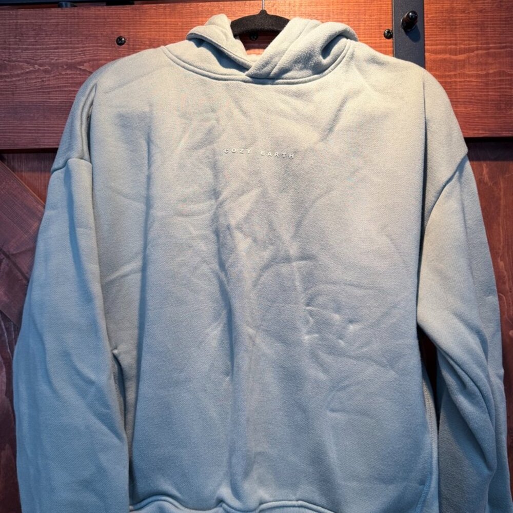 Cozy Earth Sage Green Hoodie - Large